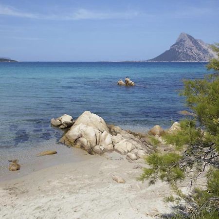 Appartamento Mare Olbia - Murta Maria מראה חיצוני תמונה